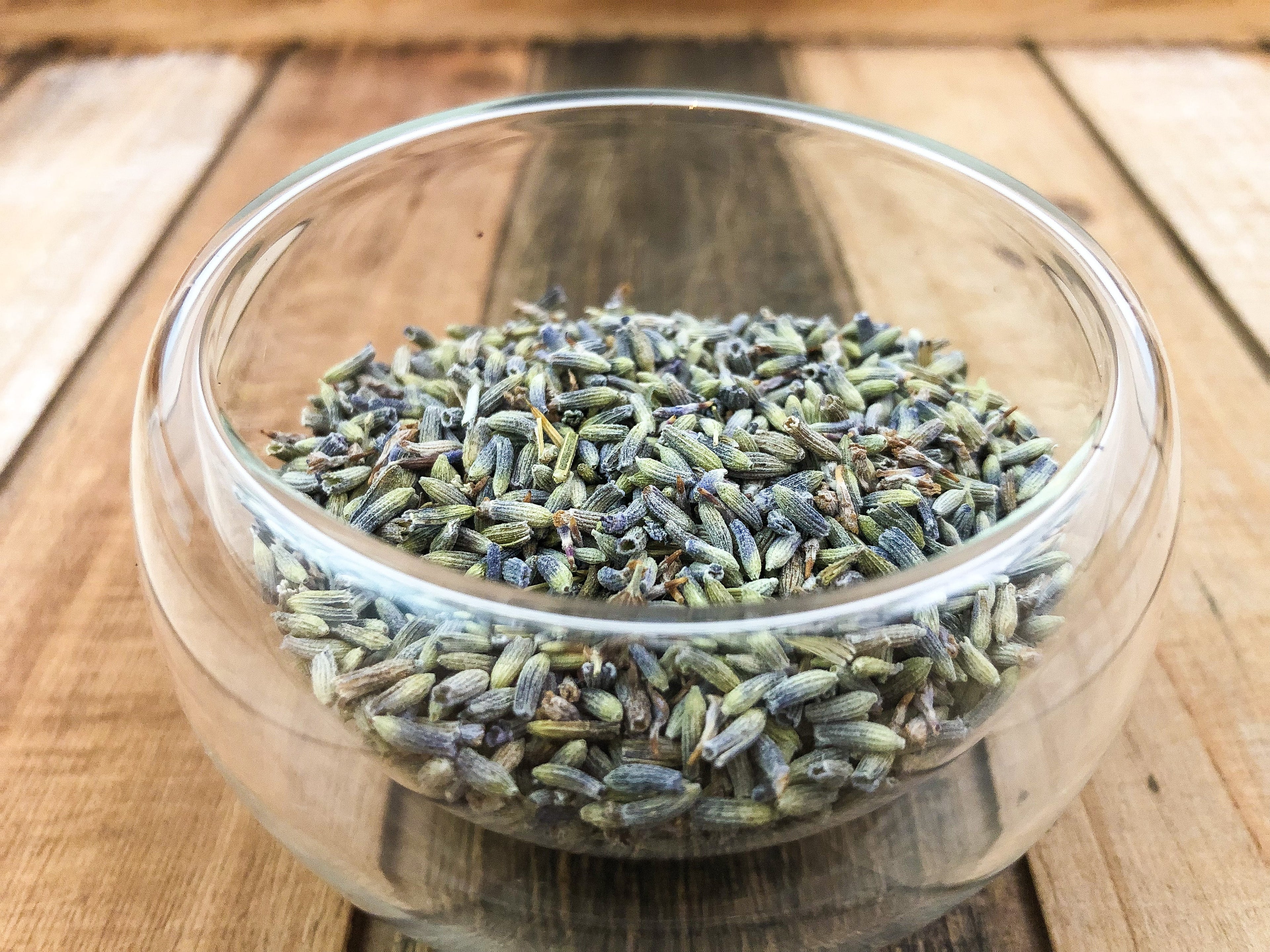 Lavender-1